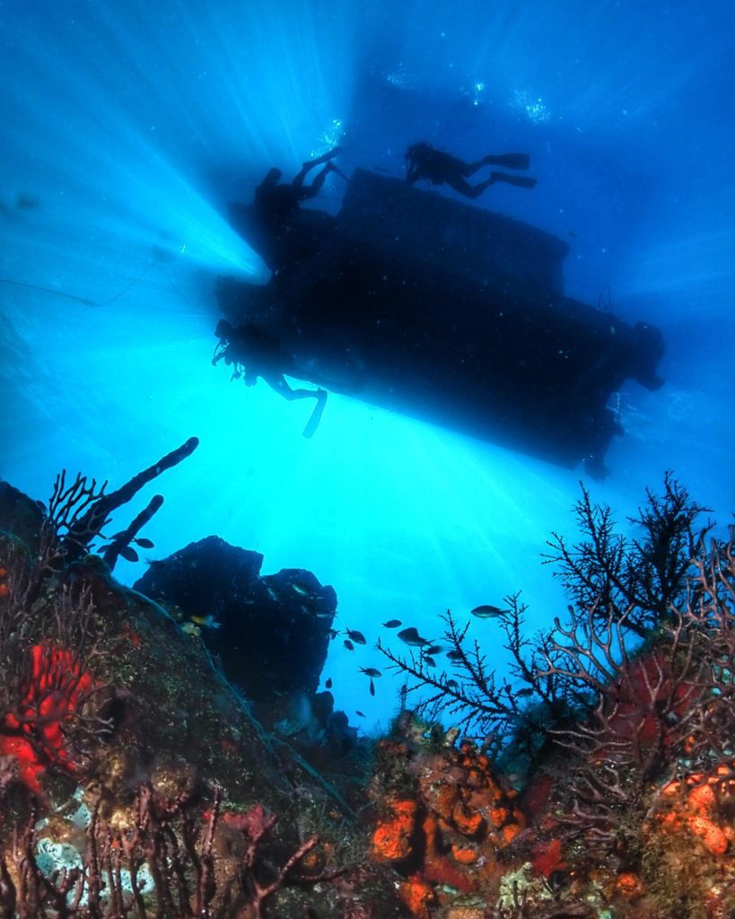 Underwater Beauty
